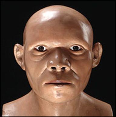 Face, Skull, Natural History Museum
