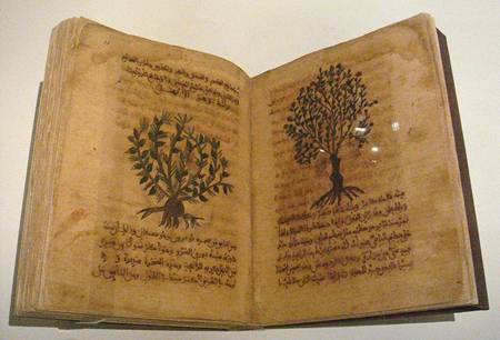 File:Dioscorides De Materia Medica Spain 12th 13th century.jpg