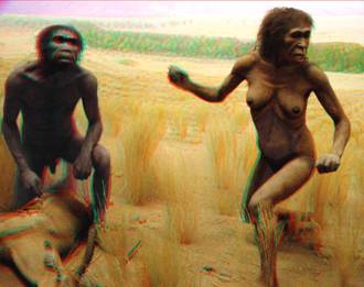 Australopithecus_couple