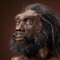 Image of male reconstruction based on Kabwe by John Gurche