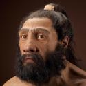 Image of male Neanderthal reconstruction based on Shanidar 1 by John Gurche