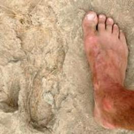 Footprint of Koobi Fora hominin