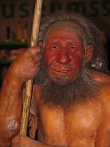 Файл:Neandertaler reconst.jpg