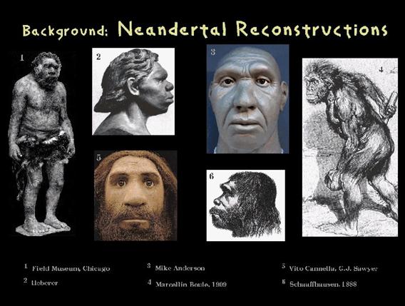 reconstrucion_Neandertal_drawings