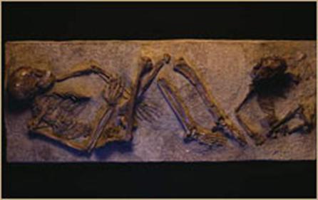 Double burial of homo sapiens at Qafzeh cave