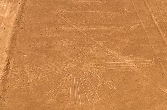 File:Lignes de Nazca oiseau.jpg